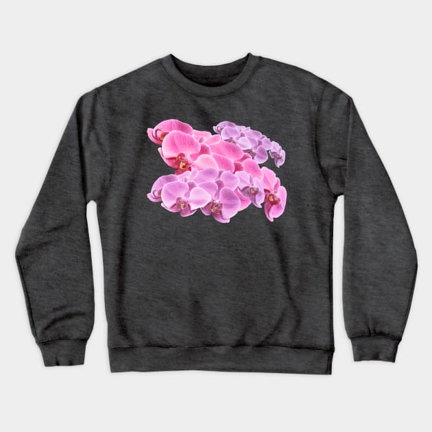 Orchid crewneck sweatshirt sales